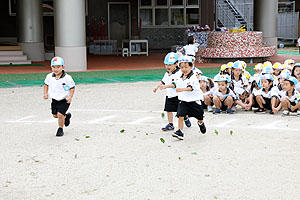 運動会の活動・かけっこ　うさぎ・りす・ことり・こあら・ぱんだ