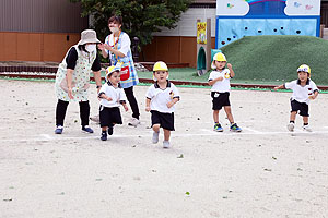 運動会の活動・かけっこ　うさぎ・りす・ことり・こあら・ぱんだ