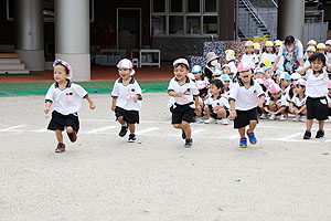 運動会の活動・かけっこ　うさぎ・りす・ことり・こあら・ぱんだ