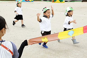 運動会の活動・かけっこ　うさぎ・りす・ことり・こあら・ぱんだ