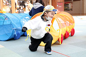 スポーツフェスタ開催！　こあら・ぱんだ・きりん