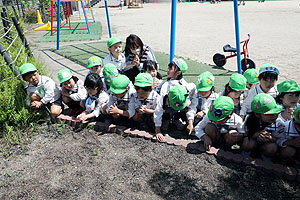 エンゼル畑に野菜の苗を植えました！　年長組