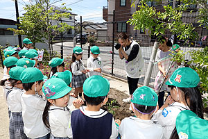 エンゼル畑に野菜の苗を植えました！　年長組