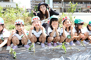 みんなでお芋の苗を植えました　　年長