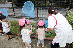 園庭あそび　大好き‼　　ひよこ