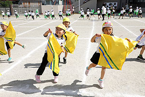 運動会予行が行われました　リズム　年中組