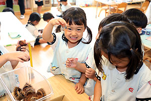 カブトムシの幼虫大きくなったよ　ことり