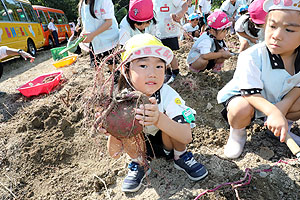 エンゼル自然体験農園でおいもほり　　年中