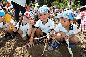 エンゼル自然体験農園でおいもほり　　年中