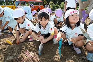 エンゼル自然体験農園でおいもほり　　年中