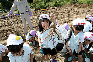 エンゼル自然体験農園でおいもほり　　年中