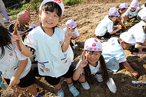 エンゼル自然体験農園でおいもほり　　年中