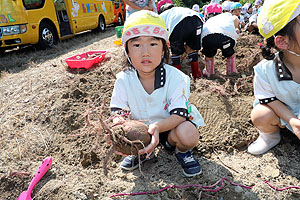 エンゼル自然体験農園でおいもほり　　年中