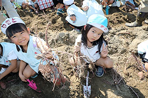 エンゼル自然体験農園でおいもほり　　年中