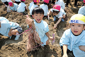 エンゼル自然体験農園でおいもほり　　年中