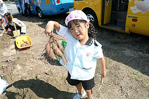 エンゼル自然体験農園でおいもほり　　年中