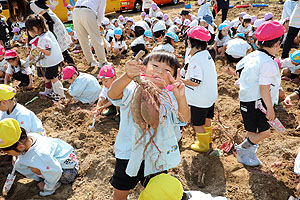 エンゼル自然体験農園でおいもほり　　年中