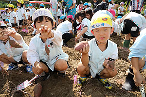 エンゼル自然体験農園でおいもほり　　年中