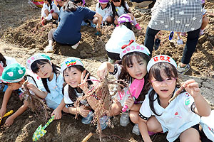エンゼル自然体験農園でおいもほり　　年長