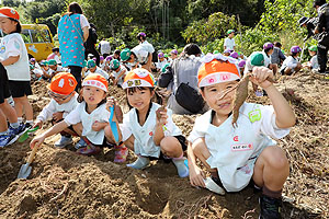 エンゼル自然体験農園でおいもほり　　年長