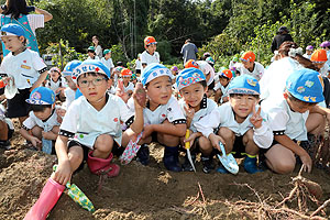 エンゼル自然体験農園でおいもほり　　年長