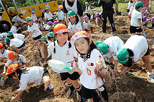 エンゼル自然体験農園でおいもほり　　年長