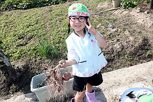 エンゼル自然体験農園でおいもほり　　年長