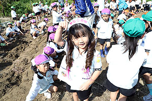 エンゼル自然体験農園でおいもほり　　年長