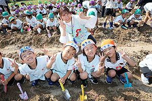 エンゼル自然体験農園でおいもほり　　年長