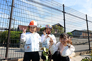 エンゼル畑でおいもほり　年少