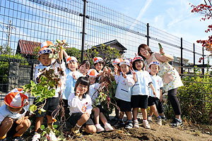 エンゼル畑でおいもほり　年少