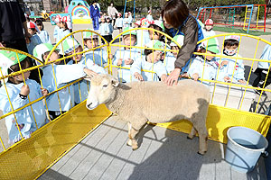 ふれあい動物園　たのしかったね　年少組