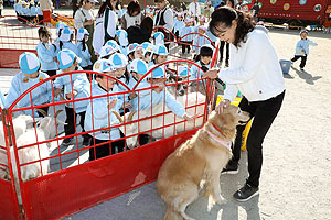 ふれあい動物園　たのしかったね　年少組