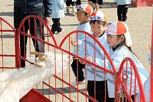 ふれあい動物園　たのしかったね　年少組