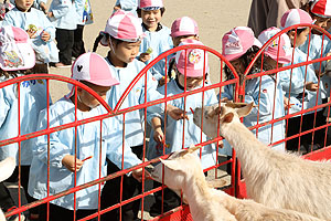 ふれあい動物園　たのしかったね　年少組