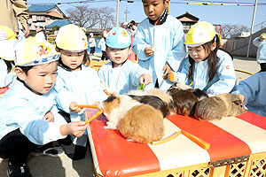 ふれあい動物園　たのしかったね　年少組