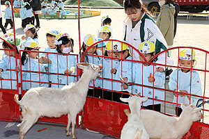 ふれあい動物園　たのしかったね　年少組