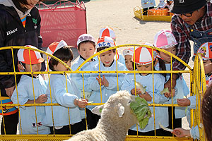 ふれあい動物園　たのしかったね　年少組