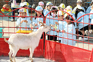 ふれあい動物園　たのしかったね　年少組