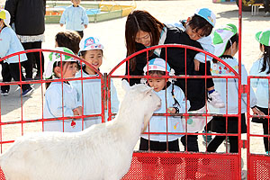 ふれあい動物園　たのしかったね　年少組