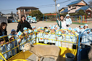 ふれあい動物園　たのしかったね　年少組