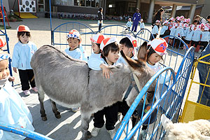 ふれあい動物園　たのしかったね　年少組