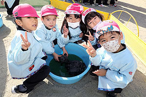 ふれあい動物園　たのしかったね　年中・ひよこ組