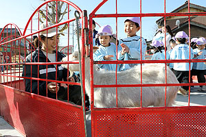 ふれあい動物園　たのしかったね　年中・ひよこ組