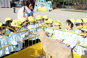 ふれあい動物園　たのしかったね　年中・ひよこ組