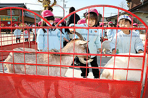 ふれあい動物園　たのしかったね　年中・ひよこ組