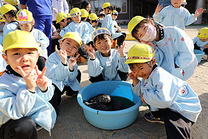 ふれあい動物園　たのしかったね　年中・ひよこ組