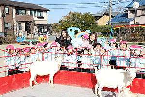 ふれあい動物園　たのしかったね　年中・ひよこ組