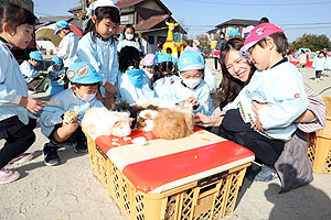 ふれあい動物園　たのしかったね　年中・ひよこ組