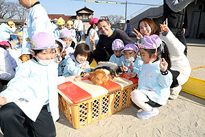 ふれあい動物園　たのしかったね　年中・ひよこ組